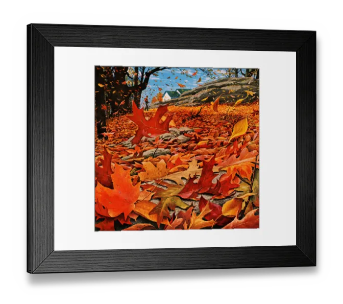 Framed Print : Autumn Leaves Framed Print : Autumn Leaves