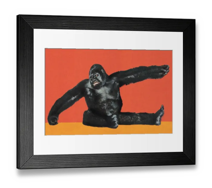 Framed Print : Gorilla. http: / / csaimages.com / images / istockprofile / csa_vector_dsp.jpg Framed Print : Gorilla. http: / / csaimages.com / images / istockprofile / csa_vector_dsp.jpg