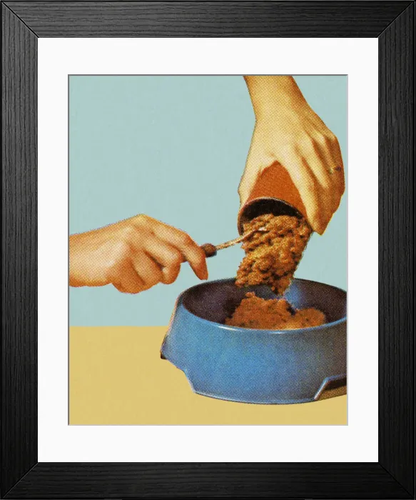 Framed Print : Canned Dog Food Going Into Bowl Framed Print : Canned Dog Food Going Into Bowl