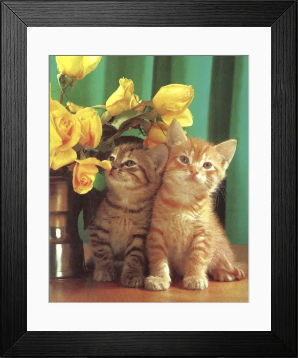 Framed Print : Two Kittens and Flowers Framed Print : Two Kittens and Flowers