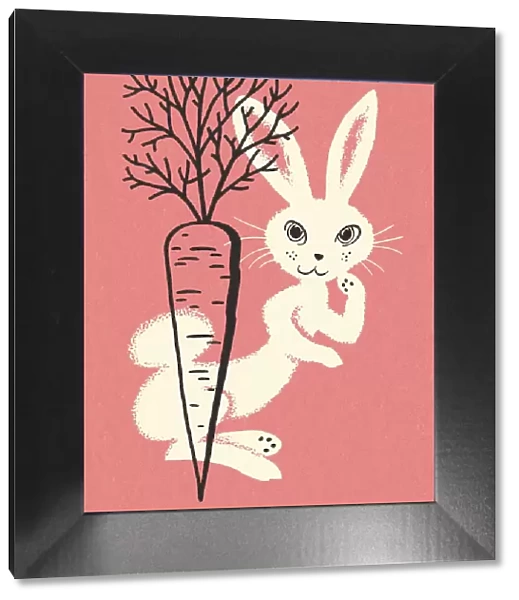 Carrot and Rabbit