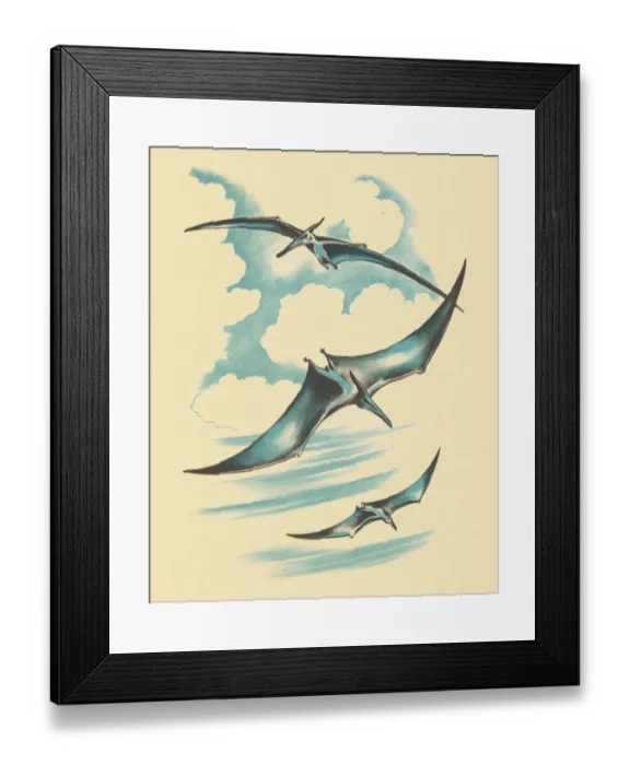 Framed Print : Three Pterodactyl Framed Print : Three Pterodactyl