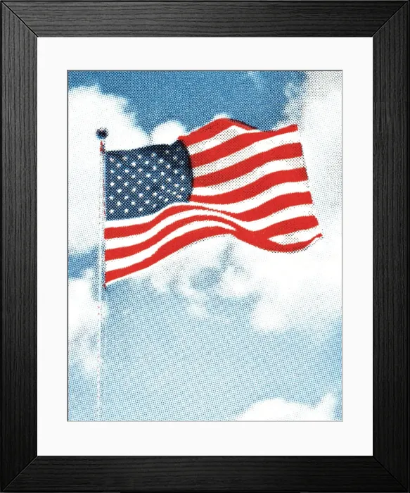 Framed Print : American flag Framed Print : American flag