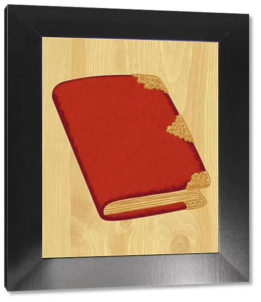 Book With a Red Cover