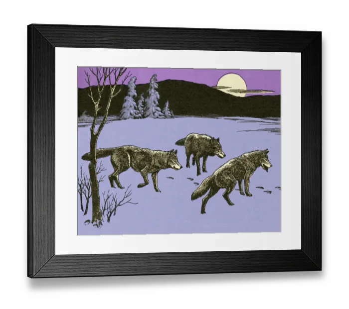 Framed Print : Three Wolves in Winter Framed Print : Three Wolves in Winter