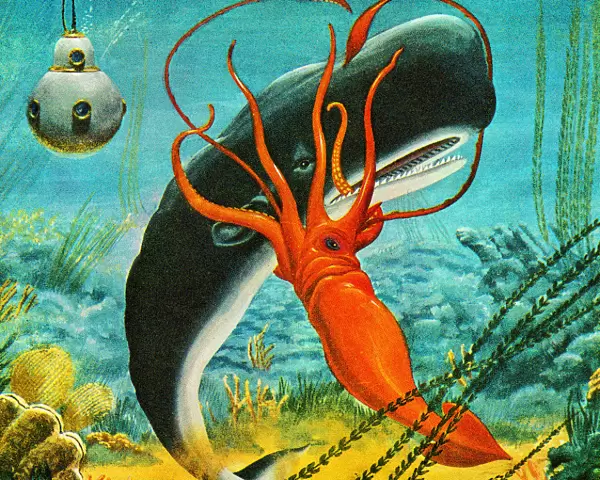 Squid Attacking Whale