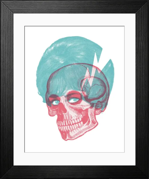 Framed Print : Skull. http: /  / csaimages.com / images / istockprofile / csa_vector_dsp.jpg