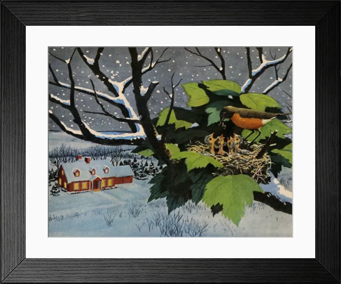 Framed Print : Mother Bird Feeding her Chicks Framed Print : Mother Bird Feeding her Chicks
