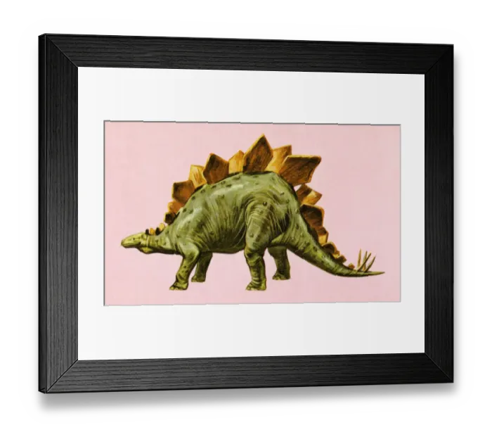 Framed Print : Stegosaurus Dinosaur Framed Print : Stegosaurus Dinosaur