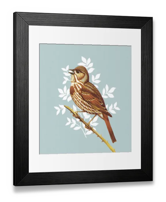 Framed Print : Bird. http: /  / csaimages.com / images / istockprofile / csa_vector_dsp.jpg