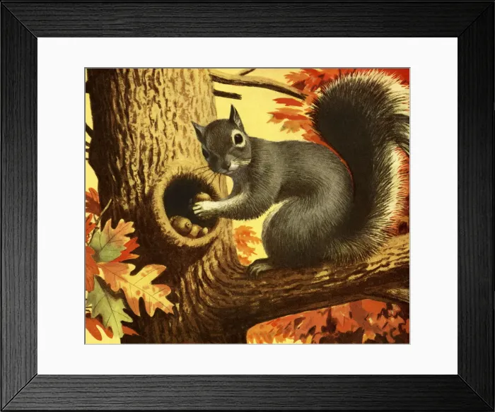 Framed Print : Squirrel Storing Nuts Framed Print : Squirrel Storing Nuts
