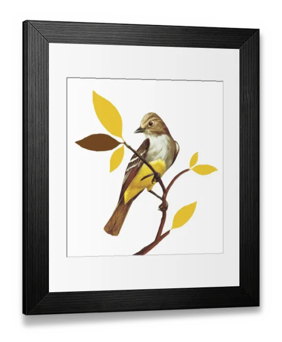 Framed Print : Bird on White Background Framed Print : Bird on White Background