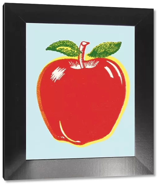 Apple. http: /  / csaimages.com / images / istockprofile / csa_vector_dsp.jpg