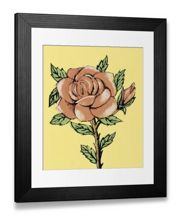 Framed Print : Red Rose. http: / / csaimages.com / images / istockprofile / csa_vector_dsp.jpg Framed Print : Red Rose. http: / / csaimages.com / images / istockprofile / csa_vector_dsp.jpg