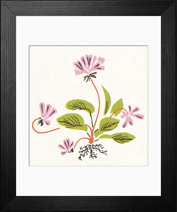 Framed Print : Flowers. http: / / csaimages.com / images / istockprofile / csa_vector_dsp.jpg Framed Print : Flowers. http: / / csaimages.com / images / istockprofile / csa_vector_dsp.jpg