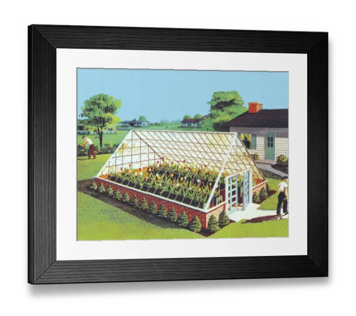Framed Print : Greenhouse in Backyard