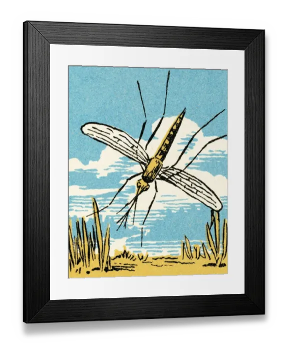 Framed Print : Insect. http: / / csaimages.com / images / istockprofile / csa_vector_dsp.jpg Framed Print : Insect. http: / / csaimages.com / images / istockprofile / csa_vector_dsp.jpg