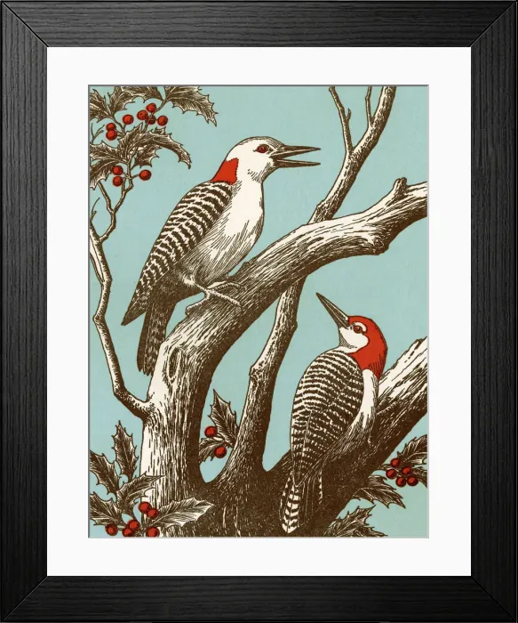 Framed Print : Woodpeckers Framed Print : Woodpeckers
