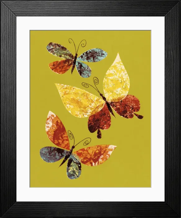 Framed Print : Butterflies Framed Print : Butterflies