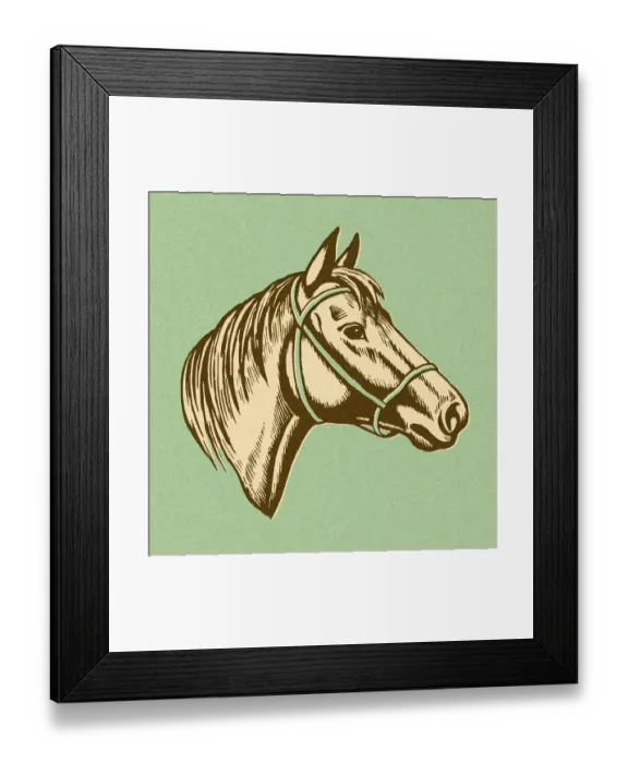 Framed Print : Horse Head Framed Print : Horse Head