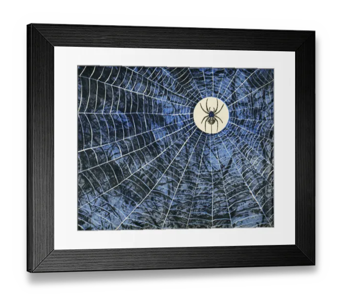 Framed Print : Spider in the Middle of Web Framed Print : Spider in the Middle of Web