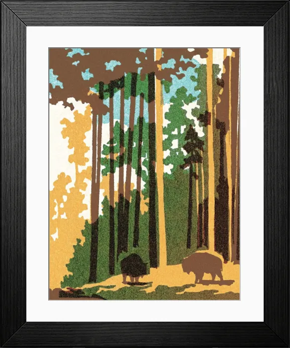 Framed Print : Buffalo in the forest