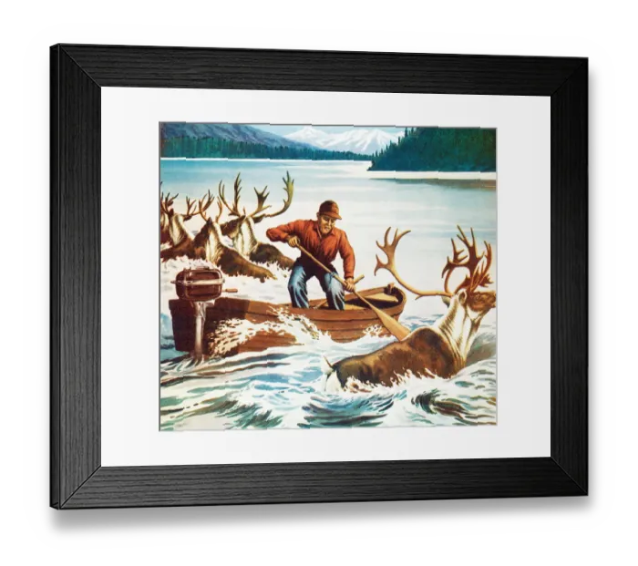 Framed Print : Herding Caribou Framed Print : Herding Caribou