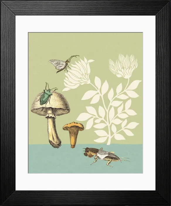 Framed Print : Mushrooms Insects and Flowers Framed Print : Mushrooms Insects and Flowers