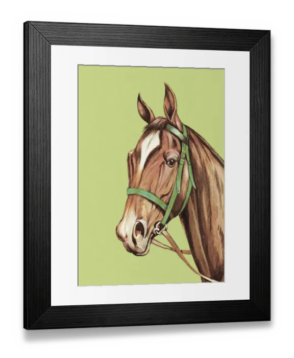 Framed Print : Horse. http: / / csaimages.com / images / istockprofile / csa_vector_dsp.jpg Framed Print : Horse. http: / / csaimages.com / images / istockprofile / csa_vector_dsp.jpg