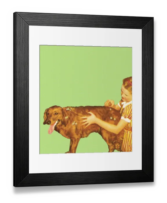 Framed Print : Dog bath. http: /  / csaimages.com / images / istockprofile / csa_vector_dsp.jpg