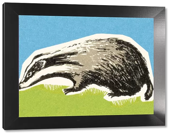 Skunk. http: /  / csaimages.com / images / istockprofile / csa_vector_dsp.jpg