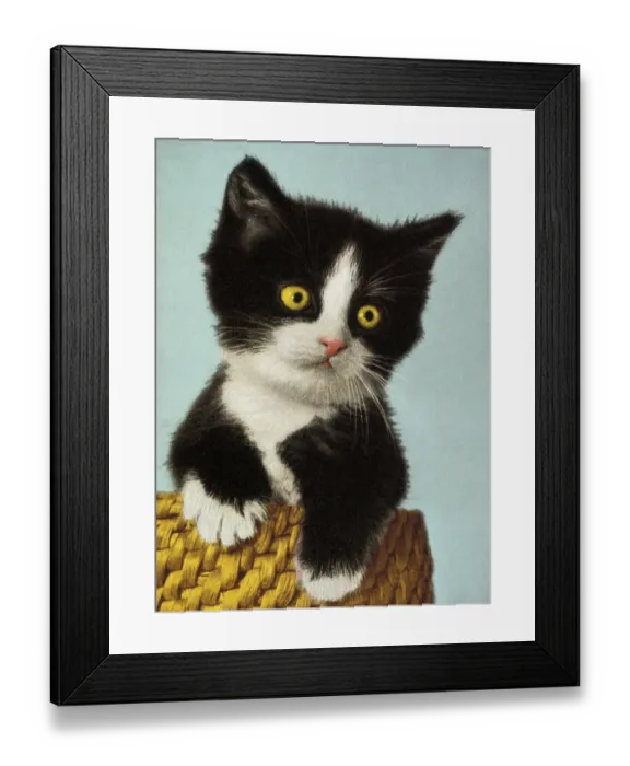 Framed Print : Black and White Kitten in Basket Framed Print : Black and White Kitten in Basket