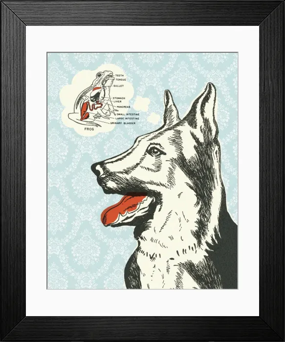 Framed Print : Dog Thinking About a Frog Framed Print : Dog Thinking About a Frog