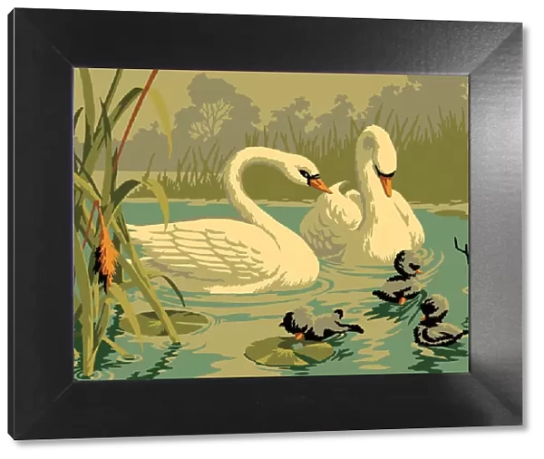Two Swan. http: /  / csaimages.com / images / istockprofile / csa_vector_dsp.jpg