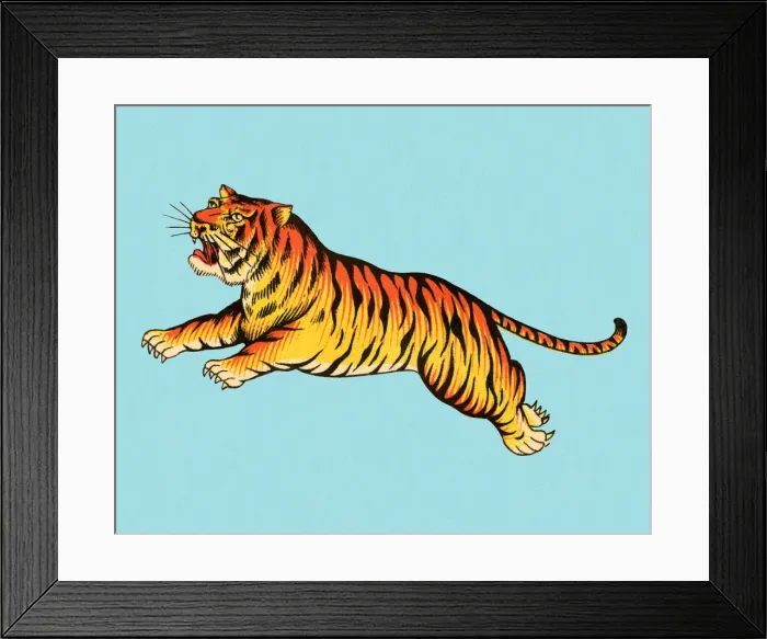 Framed Print : Leaping Tiger Framed Print : Leaping Tiger