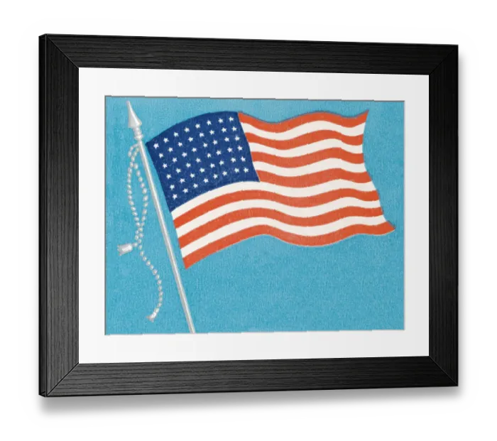 Framed Print : American flag