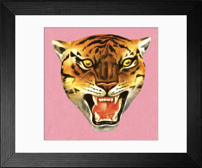 Framed Print : Tiger. http: / / csaimages.com / images / istockprofile / csa_vector_dsp.jpg Framed Print : Tiger. http: / / csaimages.com / images / istockprofile / csa_vector_dsp.jpg