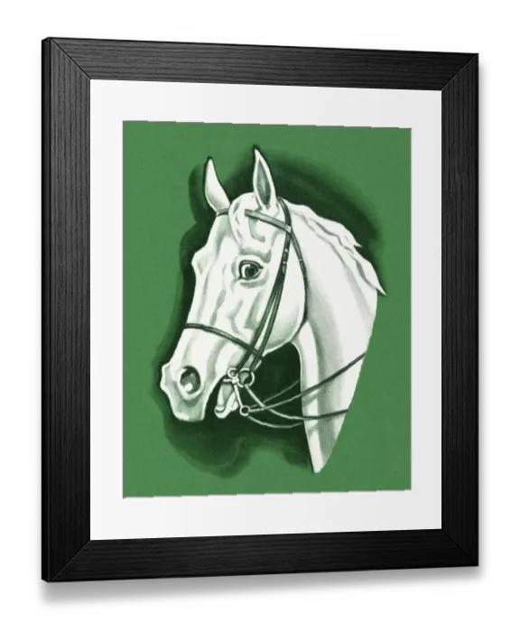 Framed Print : White Horse Framed Print : White Horse