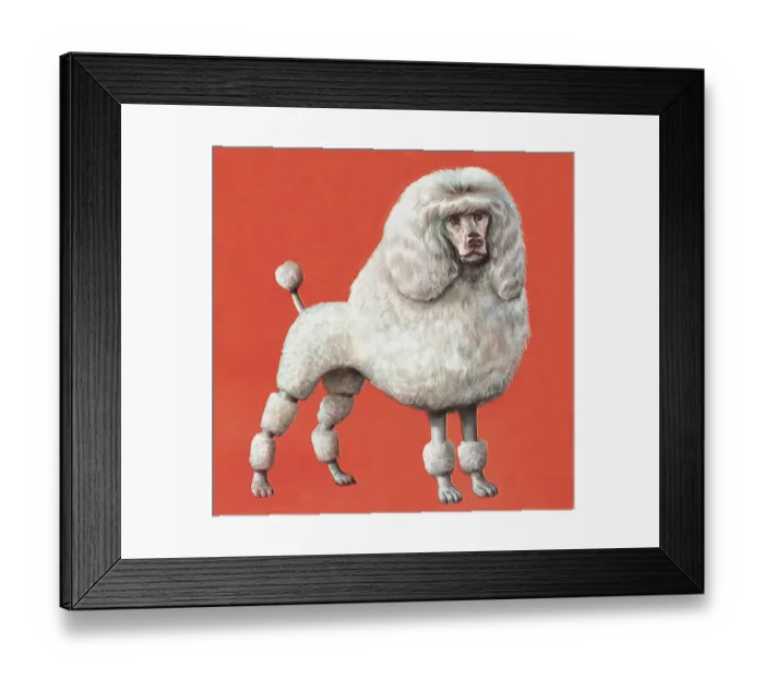 Framed Print : Poodle. http: / / csaimages.com / images / istockprofile / csa_vector_dsp.jpg Framed Print : Poodle. http: / / csaimages.com / images / istockprofile / csa_vector_dsp.jpg