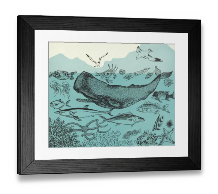 Framed Print : Ocean Sea Life Framed Print : Ocean Sea Life