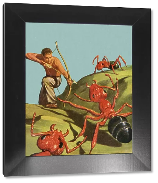 Man Shooting Giant Ants With Bow and Arrow