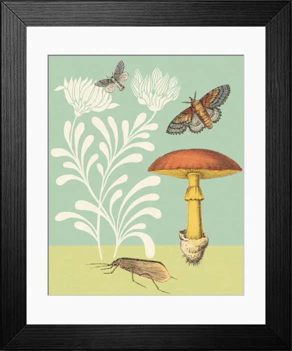 Framed Print : Mushroom and Moths Framed Print : Mushroom and Moths