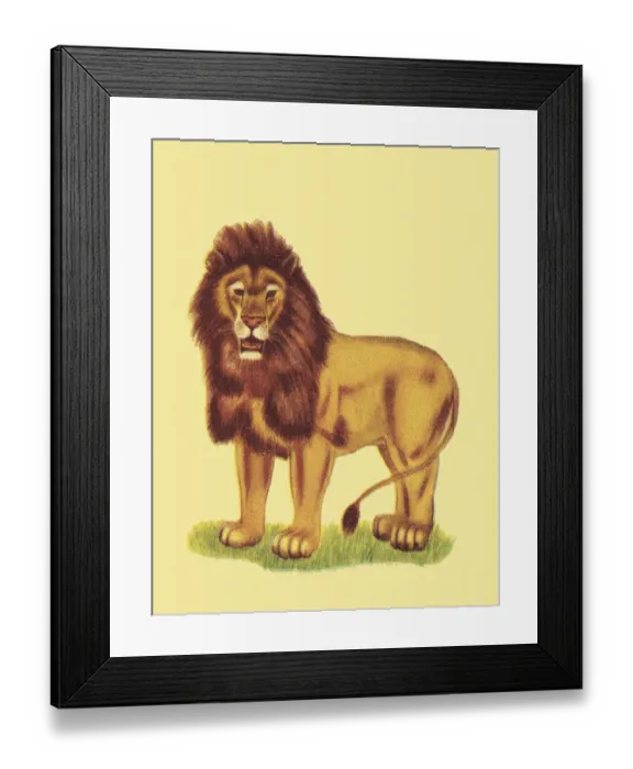 Framed Print : Lion. http: / / csaimages.com / images / istockprofile / csa_vector_dsp.jpg Framed Print : Lion. http: / / csaimages.com / images / istockprofile / csa_vector_dsp.jpg