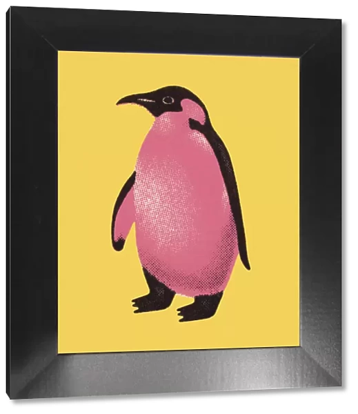 Penguin. http: /  / csaimages.com / images / istockprofile / csa_vector_dsp.jpg