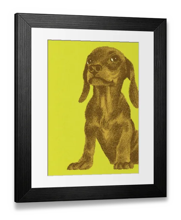 Framed Print : Cute Puppy on a Green Background Framed Print : Cute Puppy on a Green Background