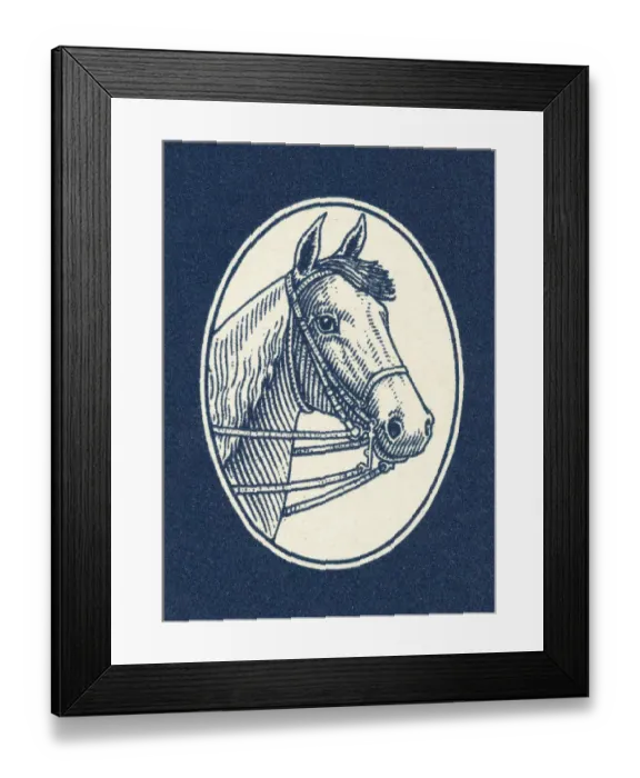 Framed Print : Horse. http: / / csaimages.com / images / istockprofile / csa_vector_dsp.jpg Framed Print : Horse. http: / / csaimages.com / images / istockprofile / csa_vector_dsp.jpg