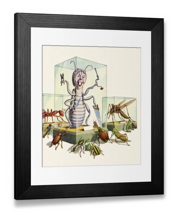 Framed Print : Insect Museum Framed Print : Insect Museum