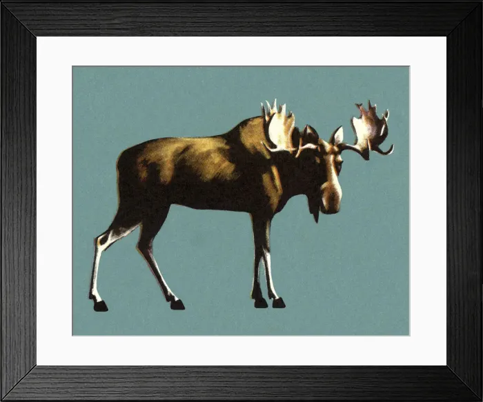 Framed Print : Moose. http: / / csaimages.com / images / istockprofile / csa_vector_dsp.jpg Framed Print : Moose. http: / / csaimages.com / images / istockprofile / csa_vector_dsp.jpg