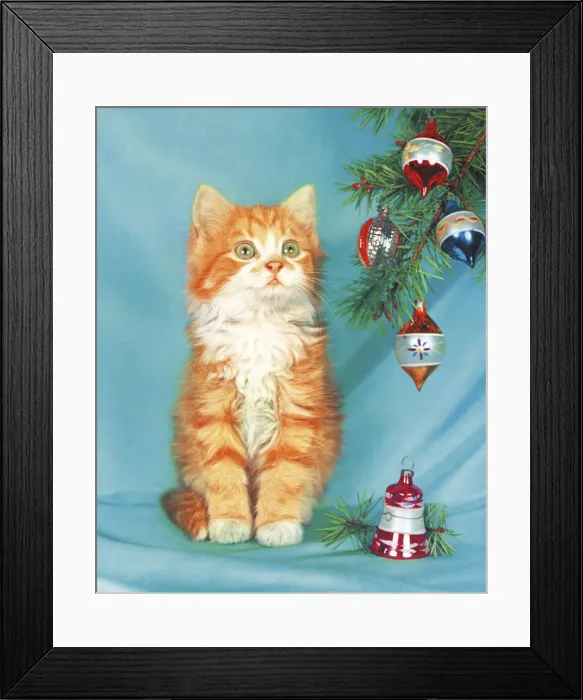 Framed Print : Kitten by a Christmas Tree