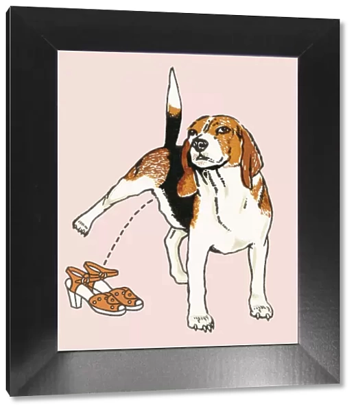 Bad dog. http: /  / csaimages.com / images / istockprofile / csa_vector_dsp.jpg
